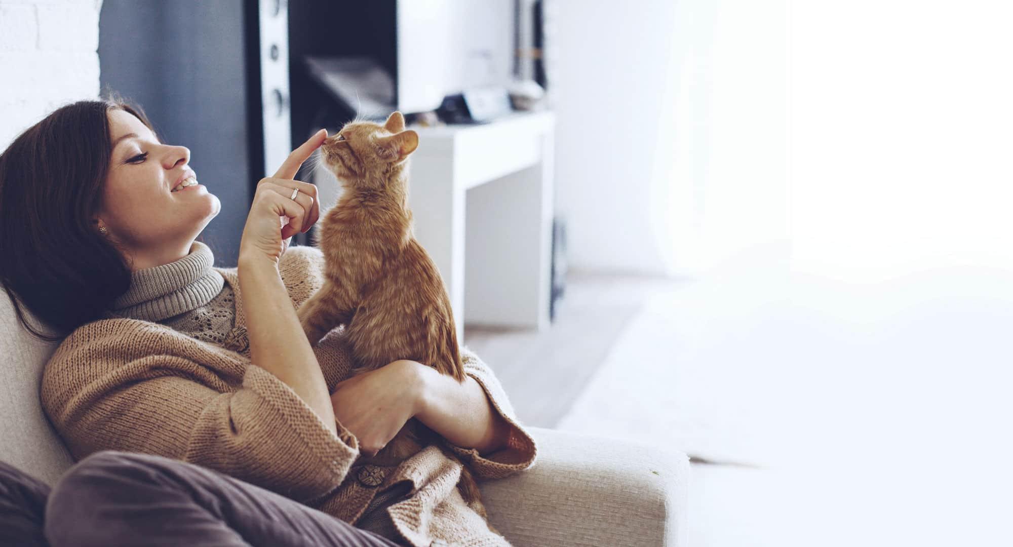 One Touch To Control Niles